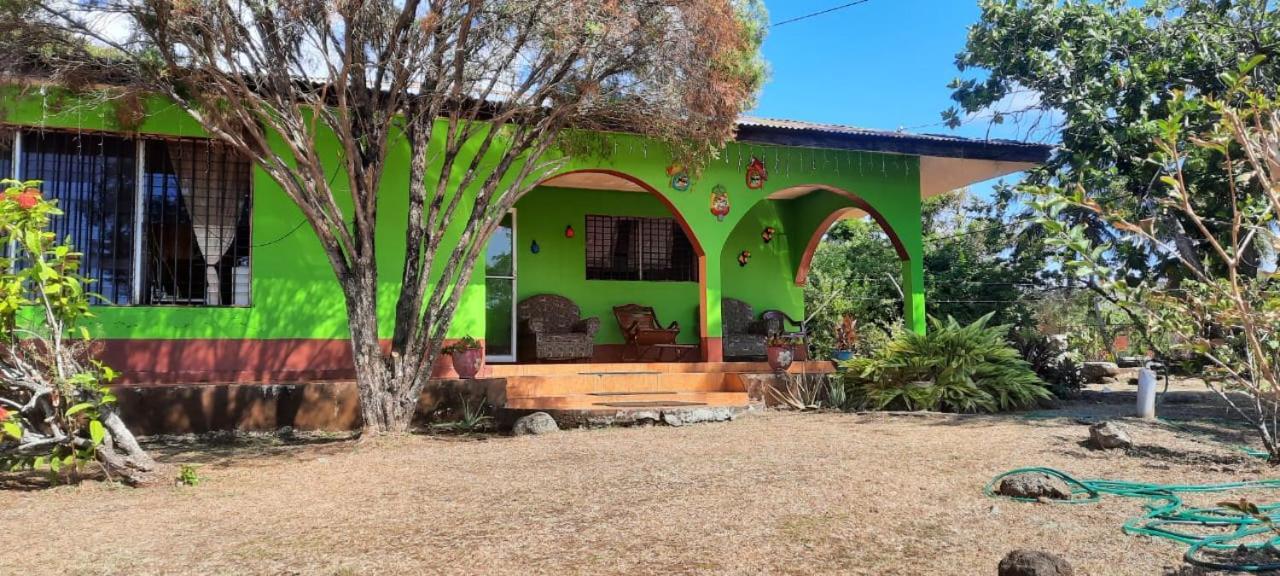 Hospedaje Tropical Dreams South End Ngoại thất bức ảnh