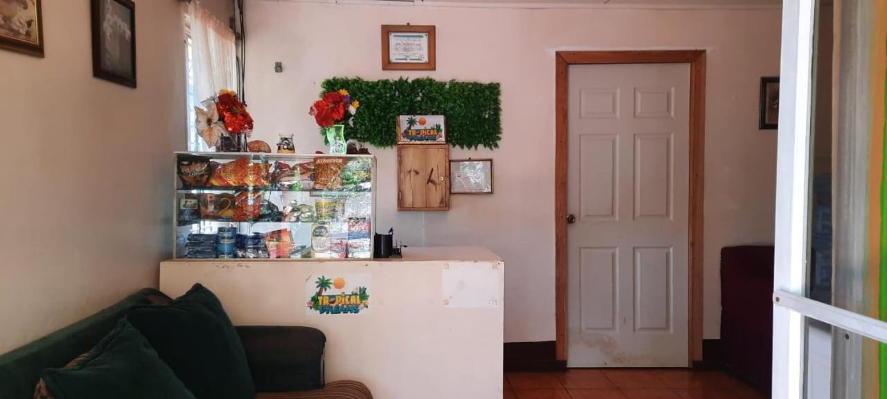 Hospedaje Tropical Dreams South End Ngoại thất bức ảnh